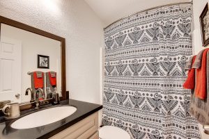 The bathroom in the Grand Canyon Train house with s patterned shower curtain and brown and red accessory decor